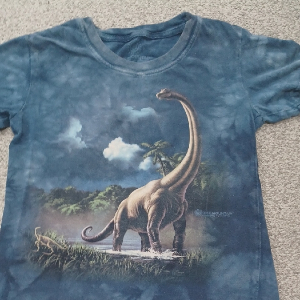 The Mountain Kids Blue Dinosaur Adventure Tee